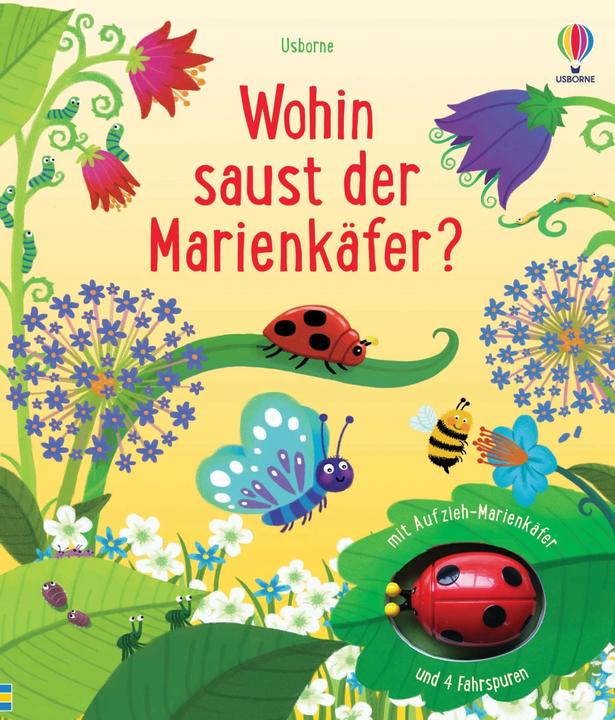 Où se dirige la coccinelle? (Allemand)