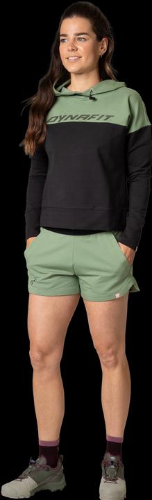 Produktbild Dynafit 24/7 Kapuzenpullover (XL)