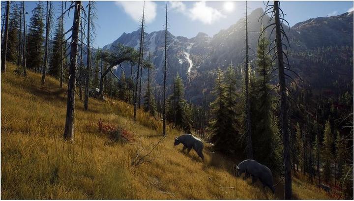 Immagine prodotto THQ La via del cacciatore - Stagione di caccia 1 (Xbox Series X, EN)