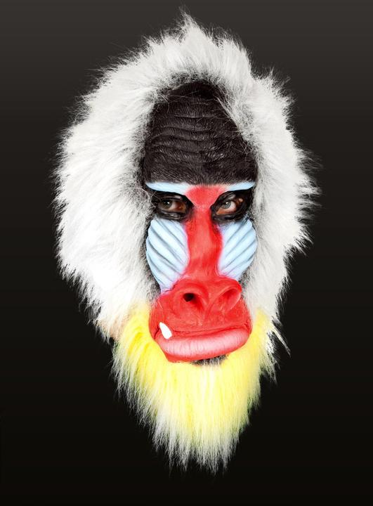 Actual product image Metamorph Mandrill - Affen Maske Fasching Halloween Kostüm