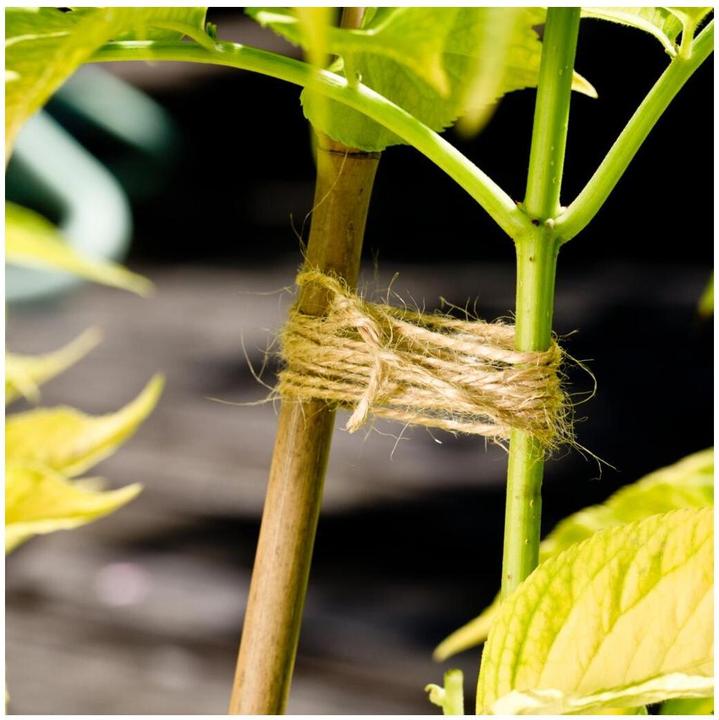 Image du produit Windhager Cordon de jardin en lin (8000 cm, 7 cm)