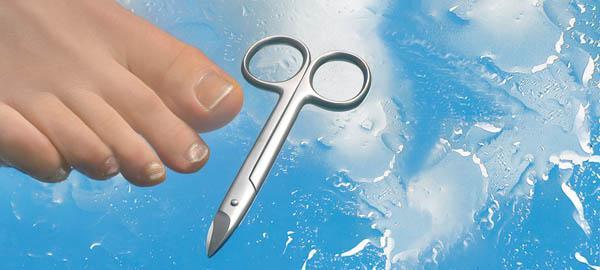 Actual product image Toenail scissors, 10.5 cm, extra strong, rustproof