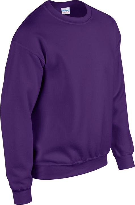 Image du produit Gildan - Sweat - Homme (XXL)