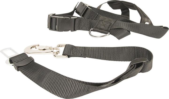 EBI Rampe voiture plastique Easy Step (Chien, Pliable)