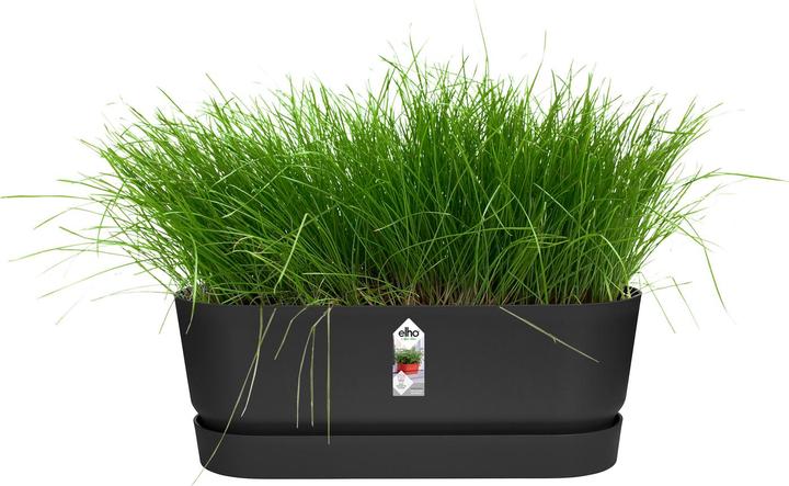 Produktbild Elho Blumenkasten (19 cm)