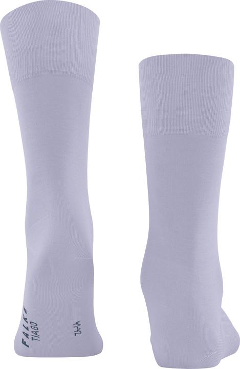 Actual product image Falke Tiago Men (43 - 44)