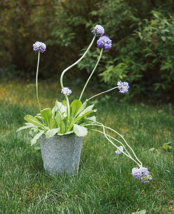Image du produit Esmée Pot de fleurs / cache-pot Orient, tôle (16 cm)