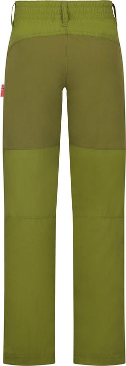 Actual product image Trollkids Kids Hammerfest Pants Pro Slim Fit (110)