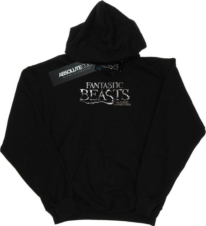 Actual product image Fantastic Beasts Mens Text Logo Hoodie (XXL)