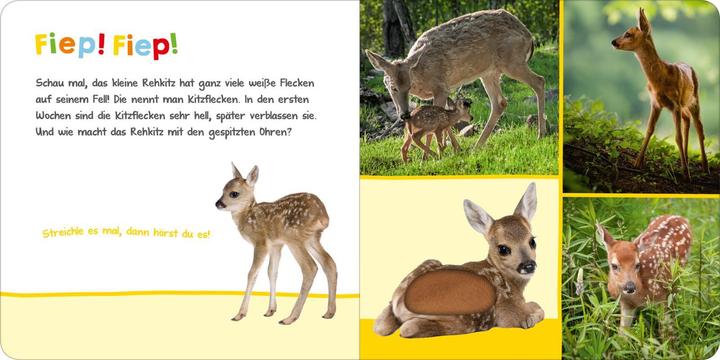 Produktbild Hör mal rein, wer kann das sein? - Tierbabys (Deutsch)