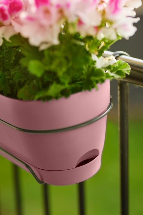 Produktbild Elho Vibia Campana (18.20 cm)