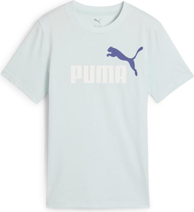 Actual product image Puma ESS 2 COLOR No.1 Logo Tee B (176)