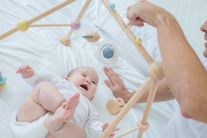 Actual product image Plantoys Baby Gym