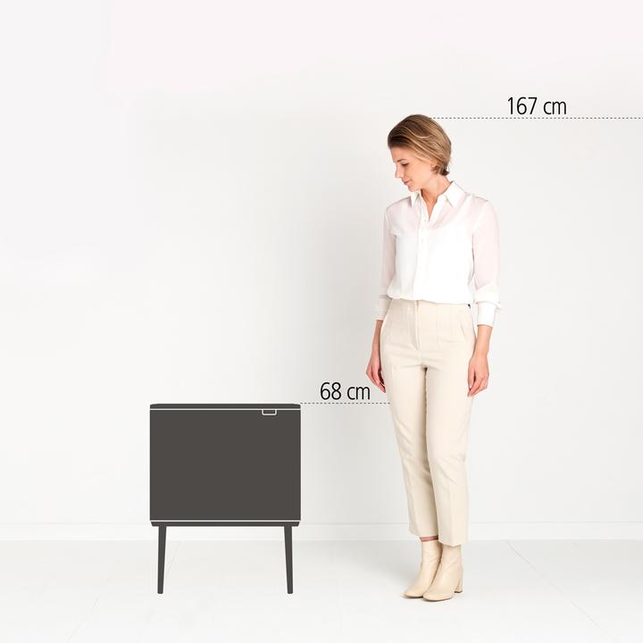 Actual product image Brabantia Bo Touch litter bin (33 l)
