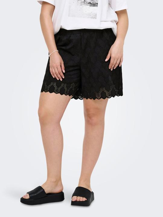 Produktbild Only CARCLEANOR Normal geschnitten Shorts Shorts (48)