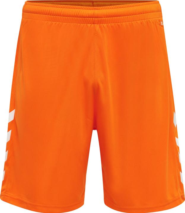 Tigre orange