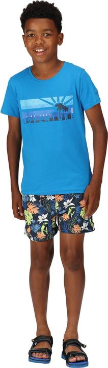 Produktbild Regatta Skander II Kurze Hose (158)