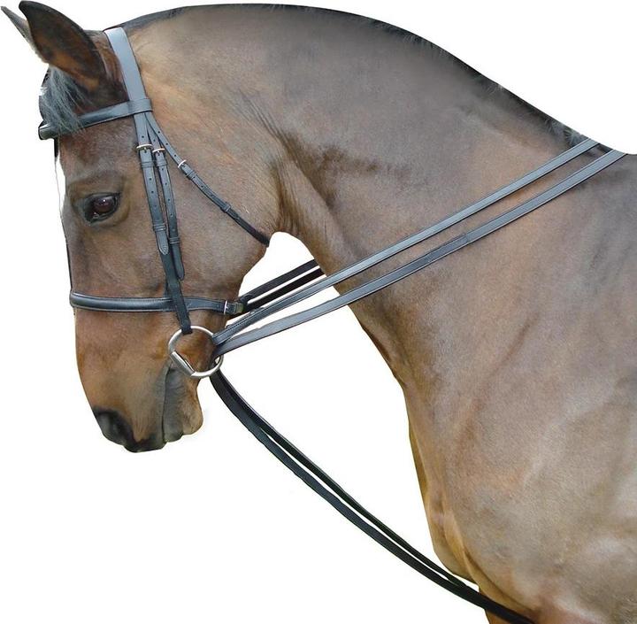 Image du produit Kincade Rênes de tirage pour cheval en cuir