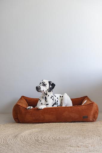 Image du produit Designed by Lotte Ribbed (Chien)