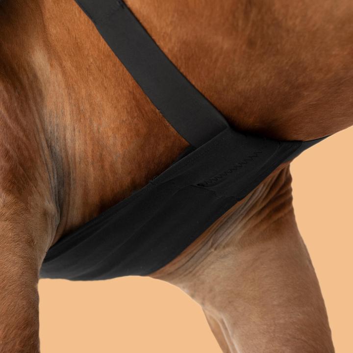 Actual product image Fouganza Protect