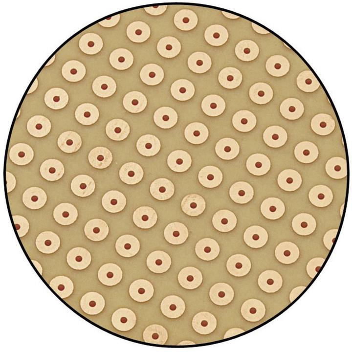 Actual product image Tru Components Europlatine dot matrix (Circuit board)