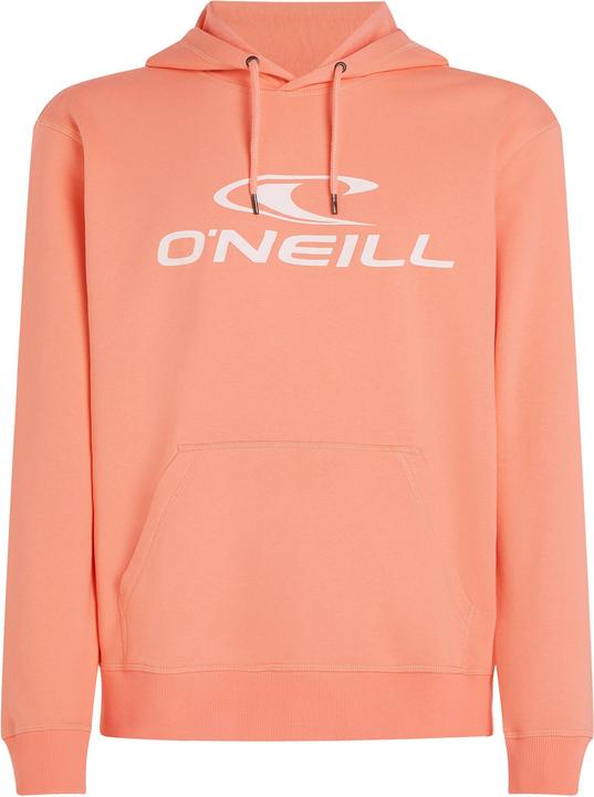 Produktbild O'Neill Logo Hoodie (L)