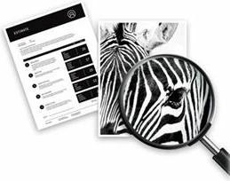 Produktbild HP Tinte Nr. 336 (C9362EE) Black (BK)