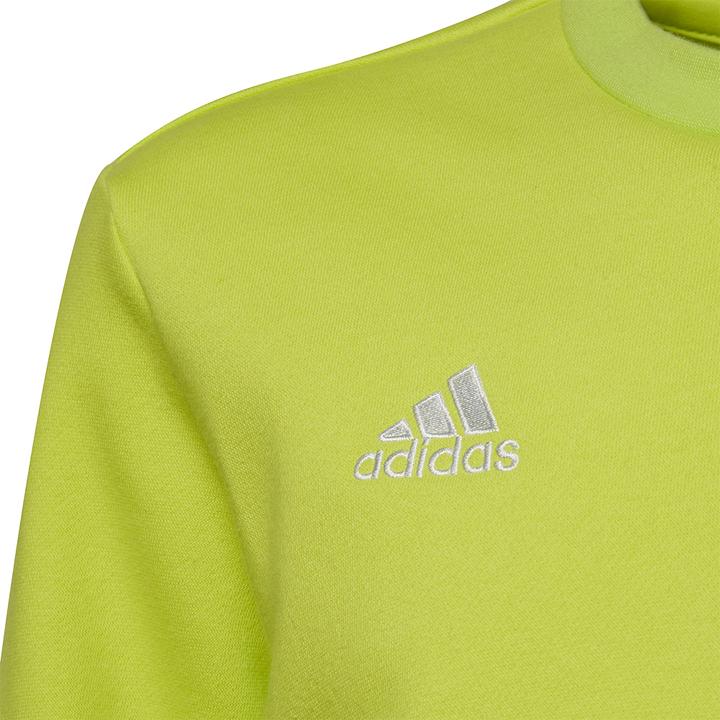 Actual product image adidas Entrada 22 sweatshirt kids (164)