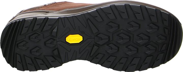 Image du produit Lowa Renegade Evo GTX Lo (42)