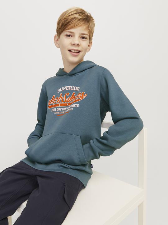 Produktbild Jack & Jones JJELOGO SWEAT HOOD 2 COL 24/25 NOOS JNR (176)