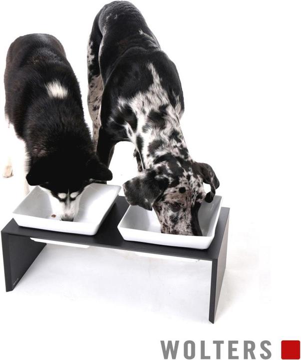 Actual product image Wolters Feeding station Meshidai double dog bowl (0.90 l)