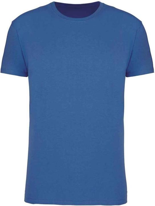 Blu royal chiaro