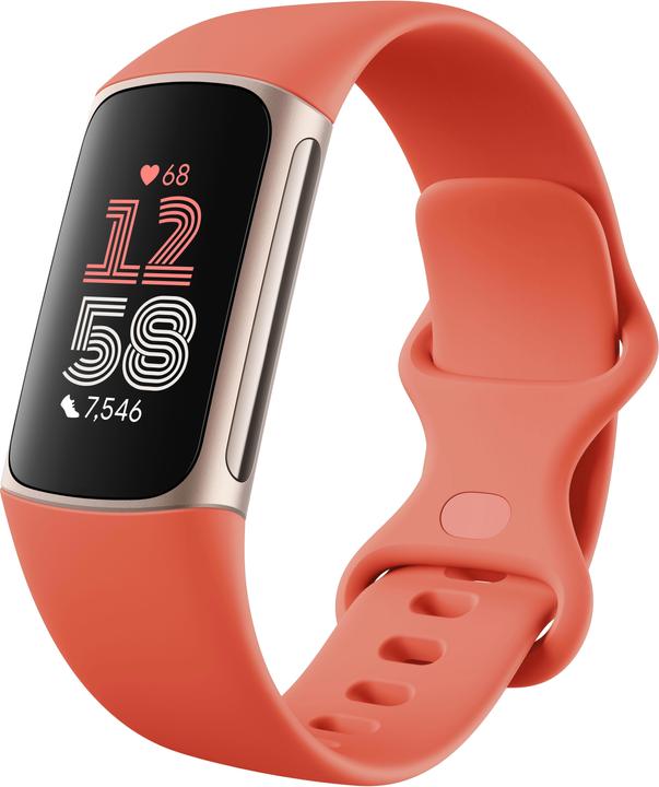 Image du produit Fitbit Charge 6 (36.73 mm)