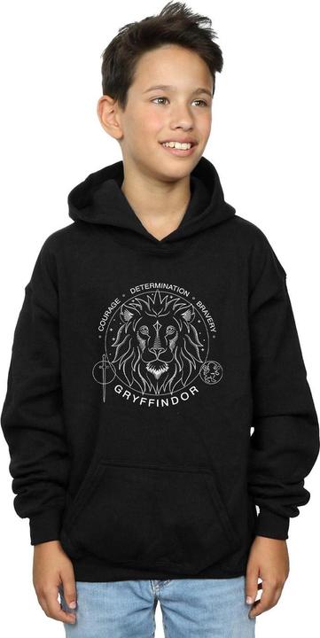 Actual product image Boys Gryffindor Seal Hoodie (116)