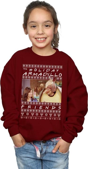 Image du produit Friends - Sweat FAIR ISLE HOLIDAY ARMADILLO - Fille (140, 146)