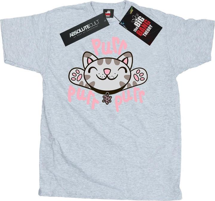 Actual product image Big Bang Theory Mens Soft Kitty Purr T-Shirt (S)