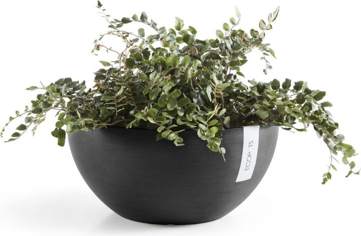 Actual product image Ecopots Brussels (25 cm)