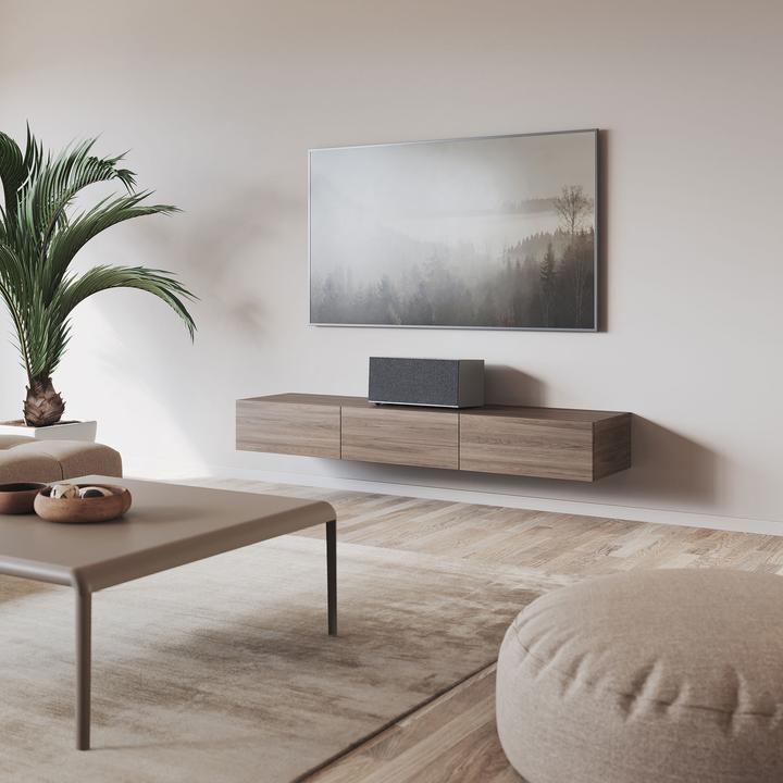 Productafbeelding Audio Pro C20 Multi-Room Luidspreker (Radiofrequentie (RF), Airplay 2, Bluetooth, WiFi)