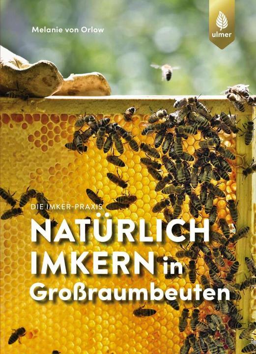 Produktbild Natürlich imkern in Grossraumbeuten (Deutsch, Melanie von Orlow, 2021)