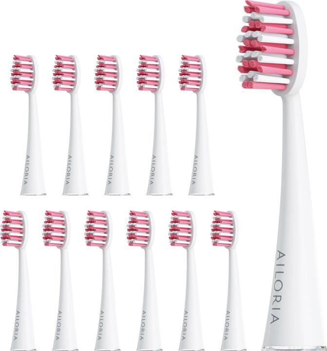 Ailoria Shine Bright (12 x)