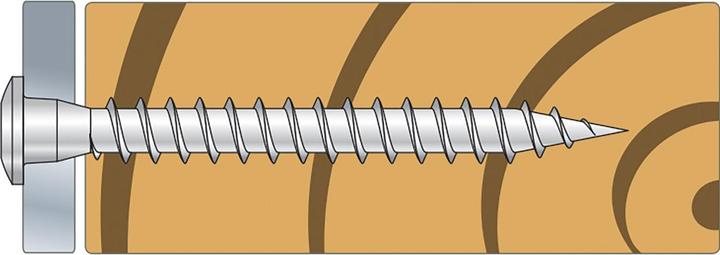 Actual product image Simpson Sst Screws (250 Screws per piece)