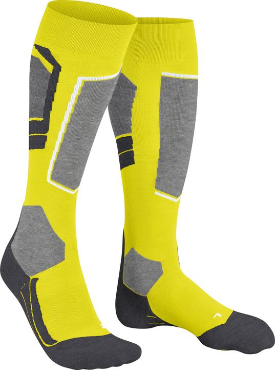 Image du produit Falke SK4 Avancé (39 - 41)