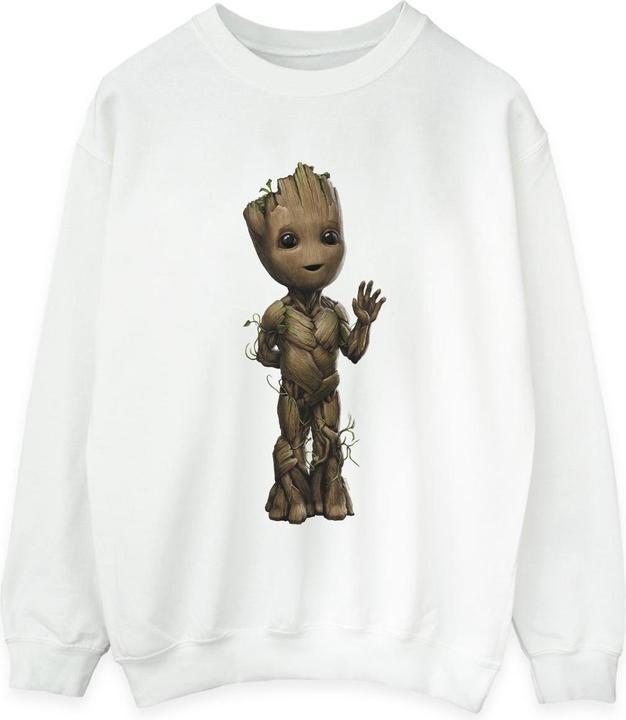 Actual product image Womens/Ladies I Am Groot Wave Pose Sweatshirt (M)