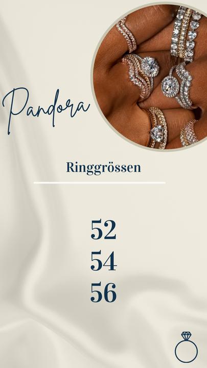 Actual product image Pandora Timeless (56, 925 Silver)