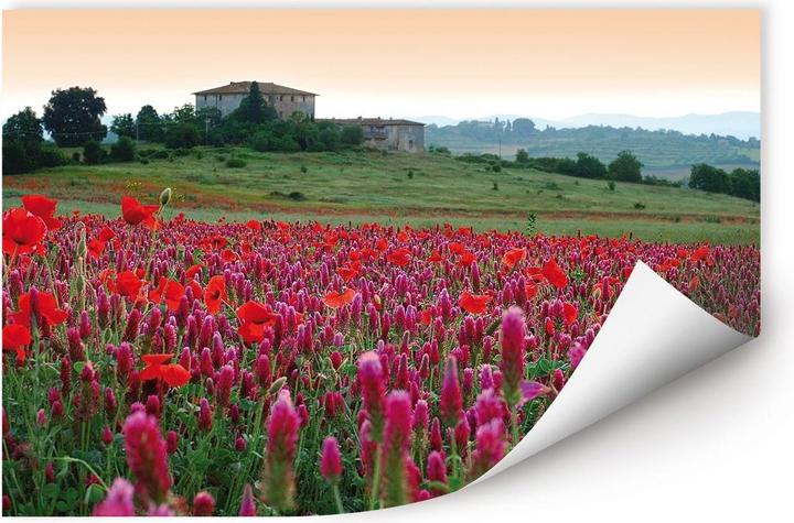 Image du produit Trenddeko Prairie fleurie Toscane (45 x 30 cm)