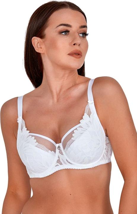 Gaia Semi- Soft model