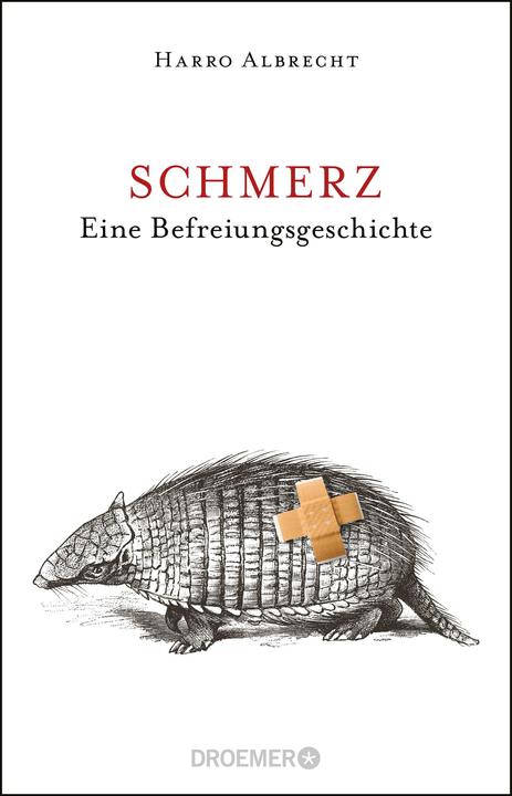 Actual product image Schmerz (German, Harro Albrecht, 2016)