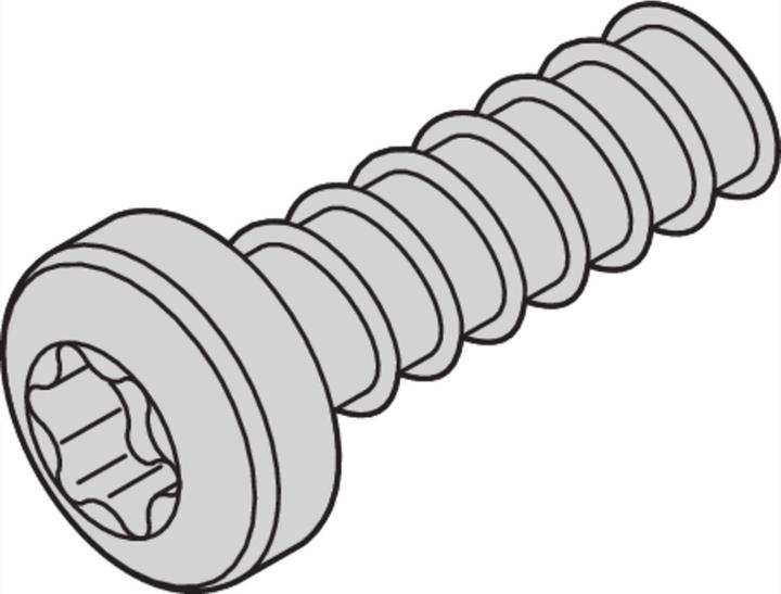Actual product image Schroff Pan head screw with Torx - LIKOSCHR-TORX.2.5X7.3 100ST