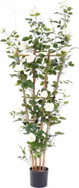 Produktbild Greendeco Künstlicher Rosenbaum weiss, ca. 160cm (160 cm)