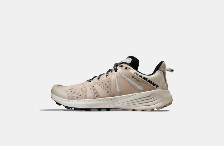 Immagine prodotto Mammut Saentis TR Low GTX Donna (39.5)